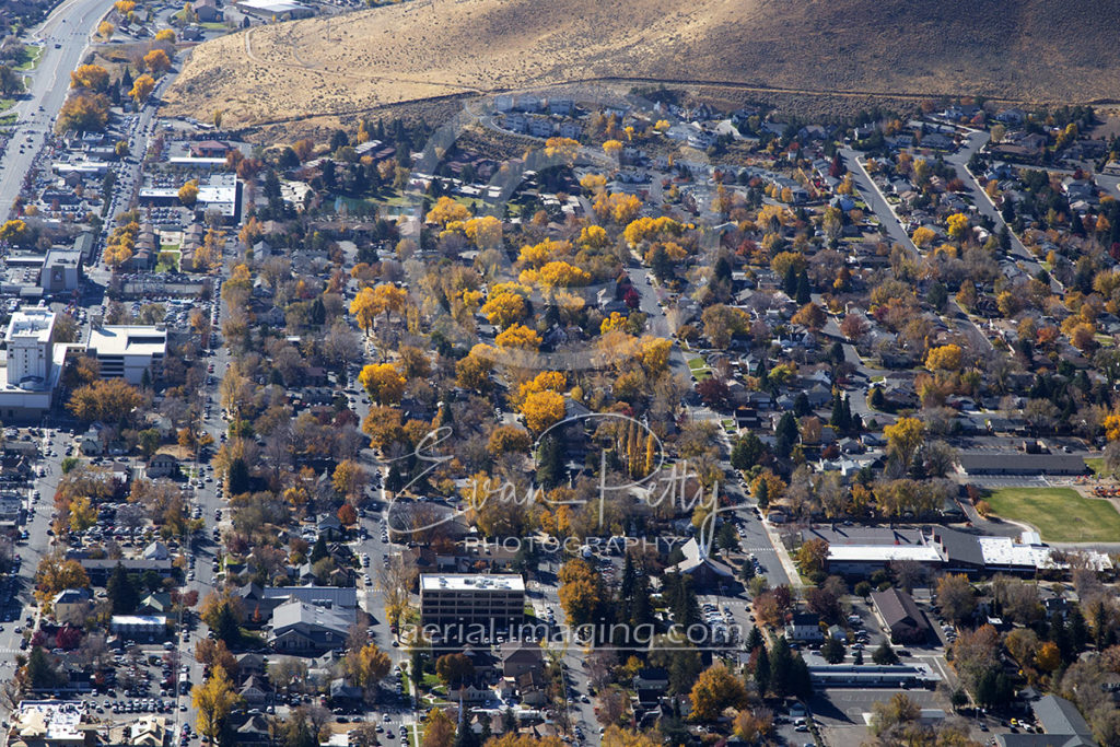Beautiful Trees Aerial Carson City, NV
