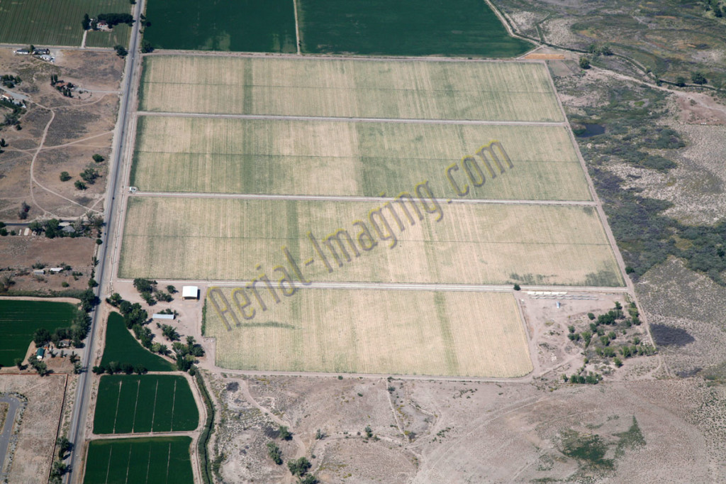 agriculture aerial photography image nevada