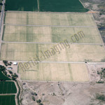 agriculture aerial photography image nevada