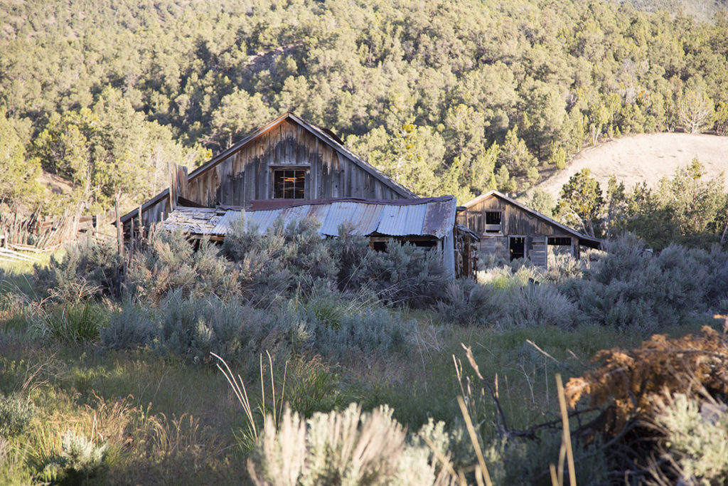 Historical Photographer Ranch Rural Areas