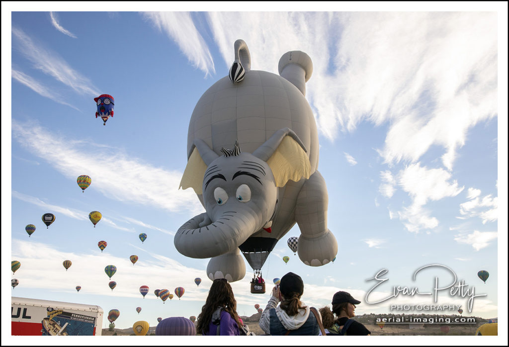 Elephant Nevada Balloon Reno Balloon Race 2018