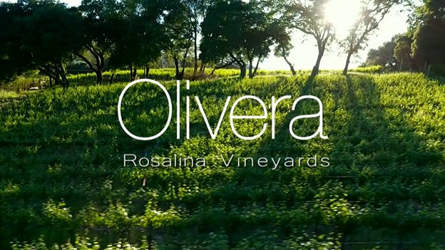 Olivera Custom Drone Video Winery
