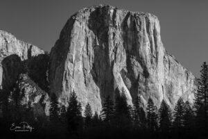 Sunlight on El Capitan in Yosemite