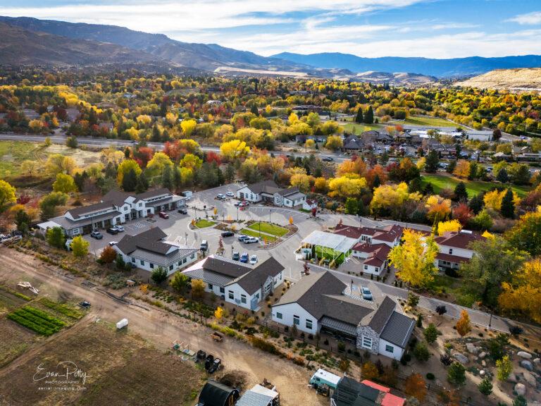 Buildings and Trees at Mayberry Gardens