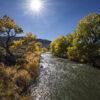 Trees Truckee River Fall Foliage