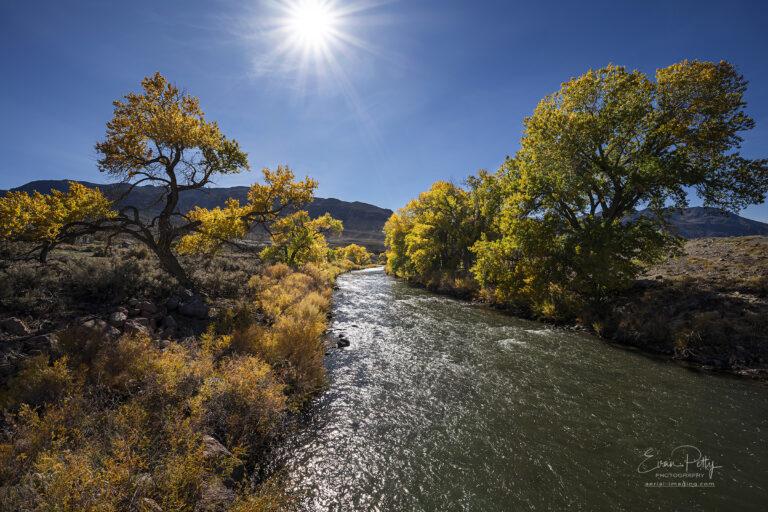 Trees Truckee River Fall Foliage